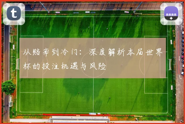 从赔率到冷门:深度解析本届世界杯的投注机遇与风险