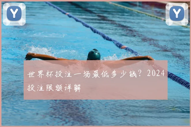 世界杯投注一场最低多少钱?2024投注限额详解