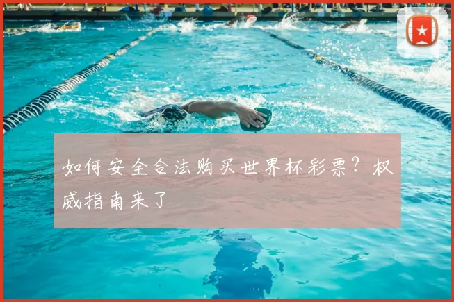 如何安全合法购买世界杯彩票?权威指南来了