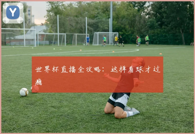 世界杯直播全攻略：这样看球才过瘾