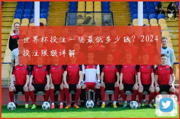 世界杯投注一场最低多少钱?2024投注限额详解